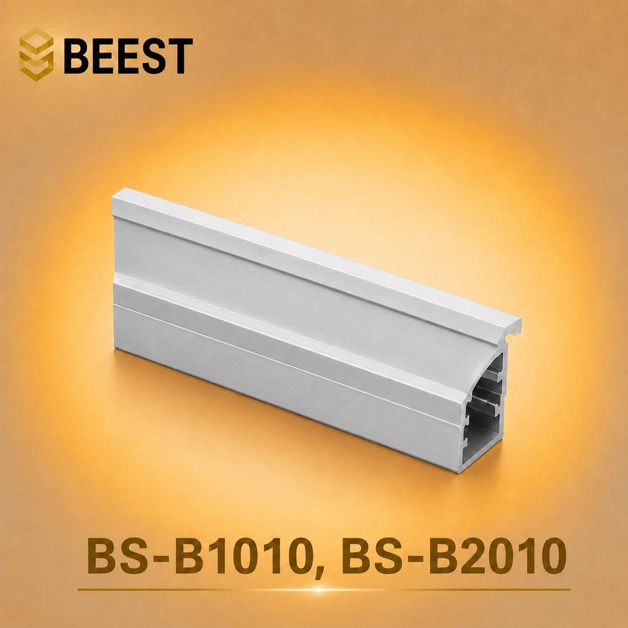 BS-B1010