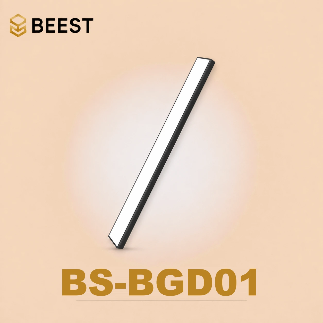 BS-BGD01