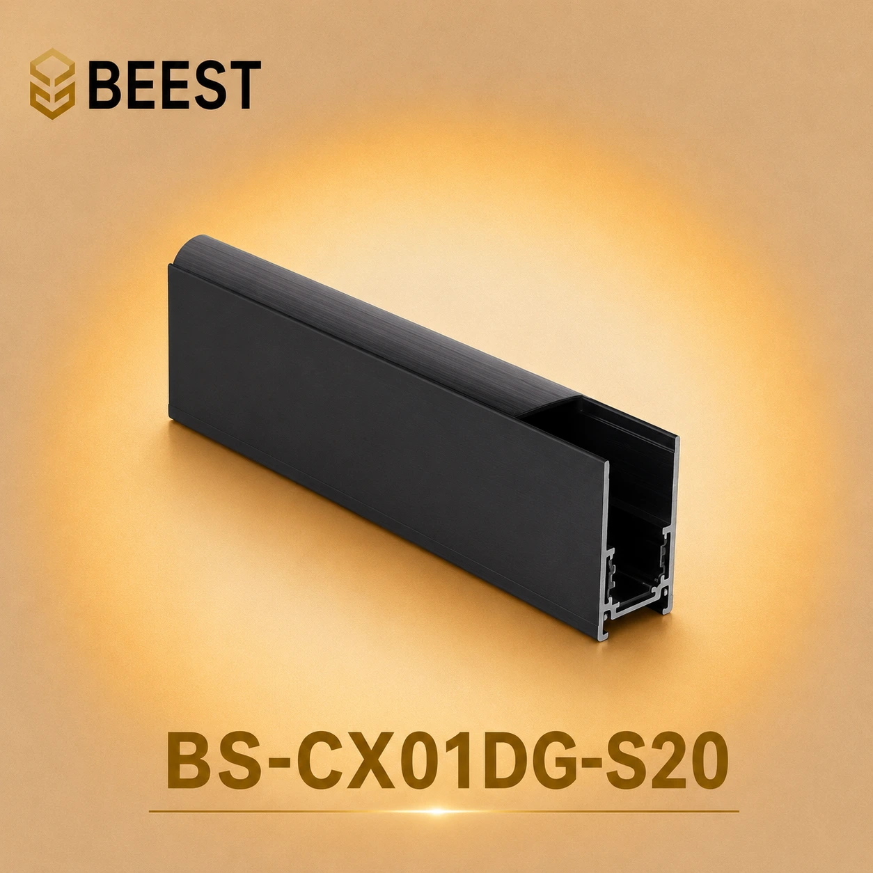 BS-CX01DG-S20