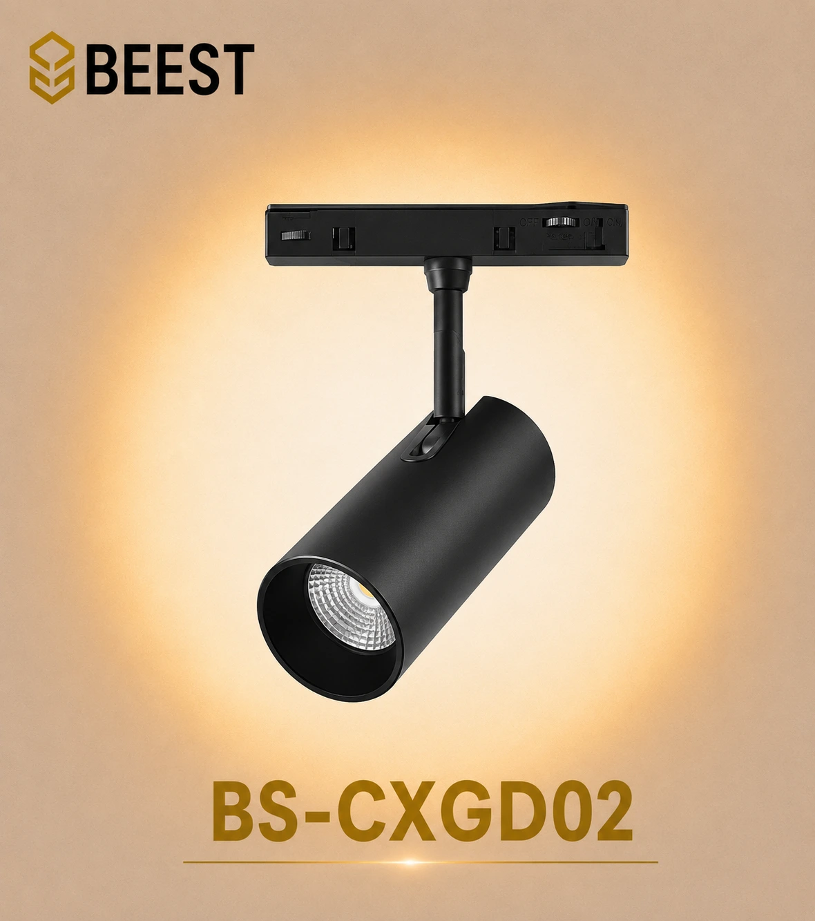 BS-CXGD02