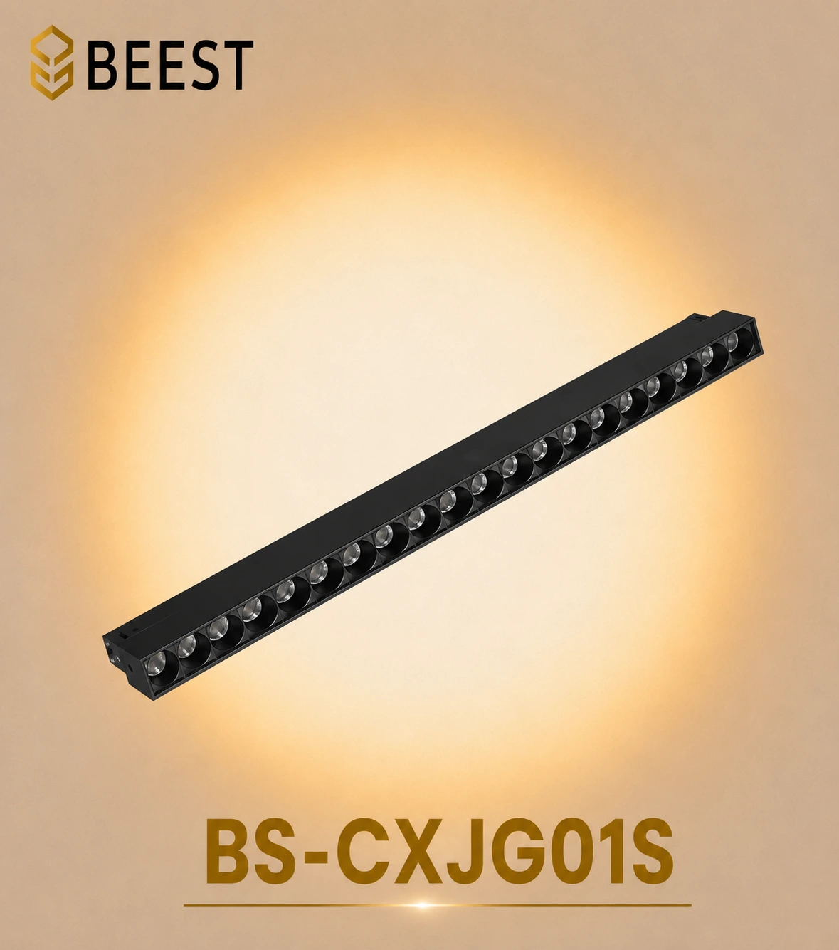 BS-CXJG01S