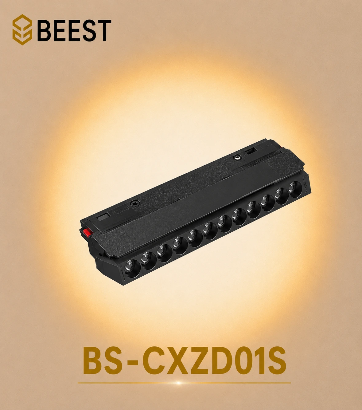 BS-CXZD01S