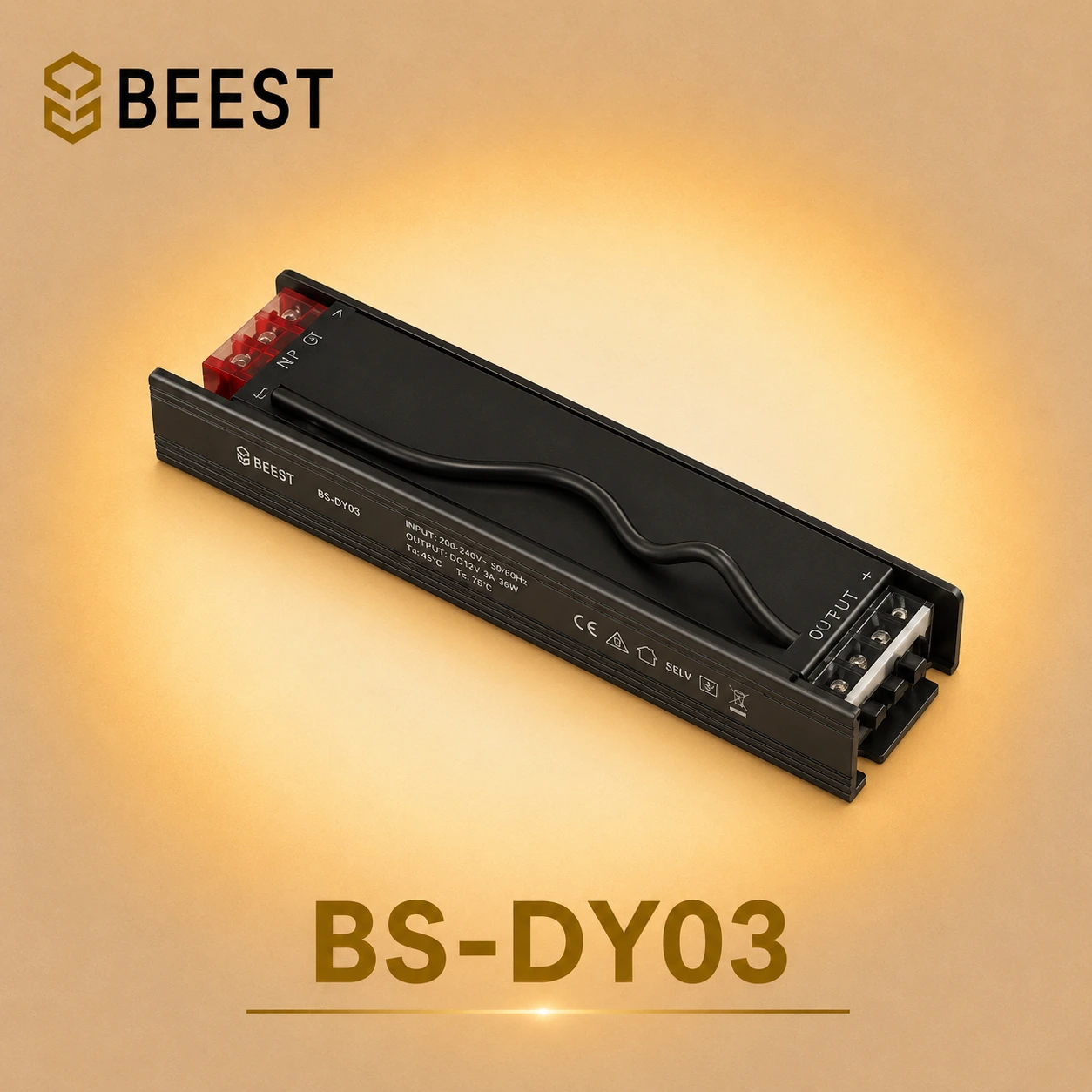 BS-DY03-24V
