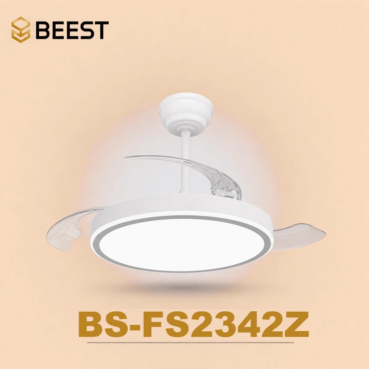 BS-FS2342Z