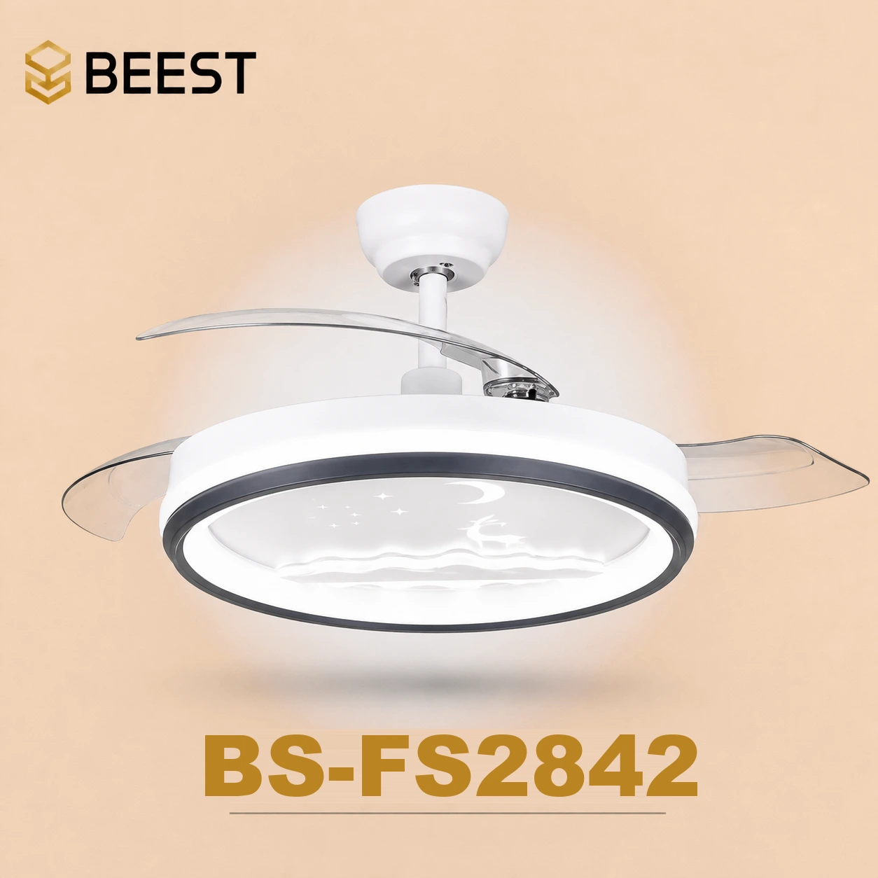 BS-FS2842