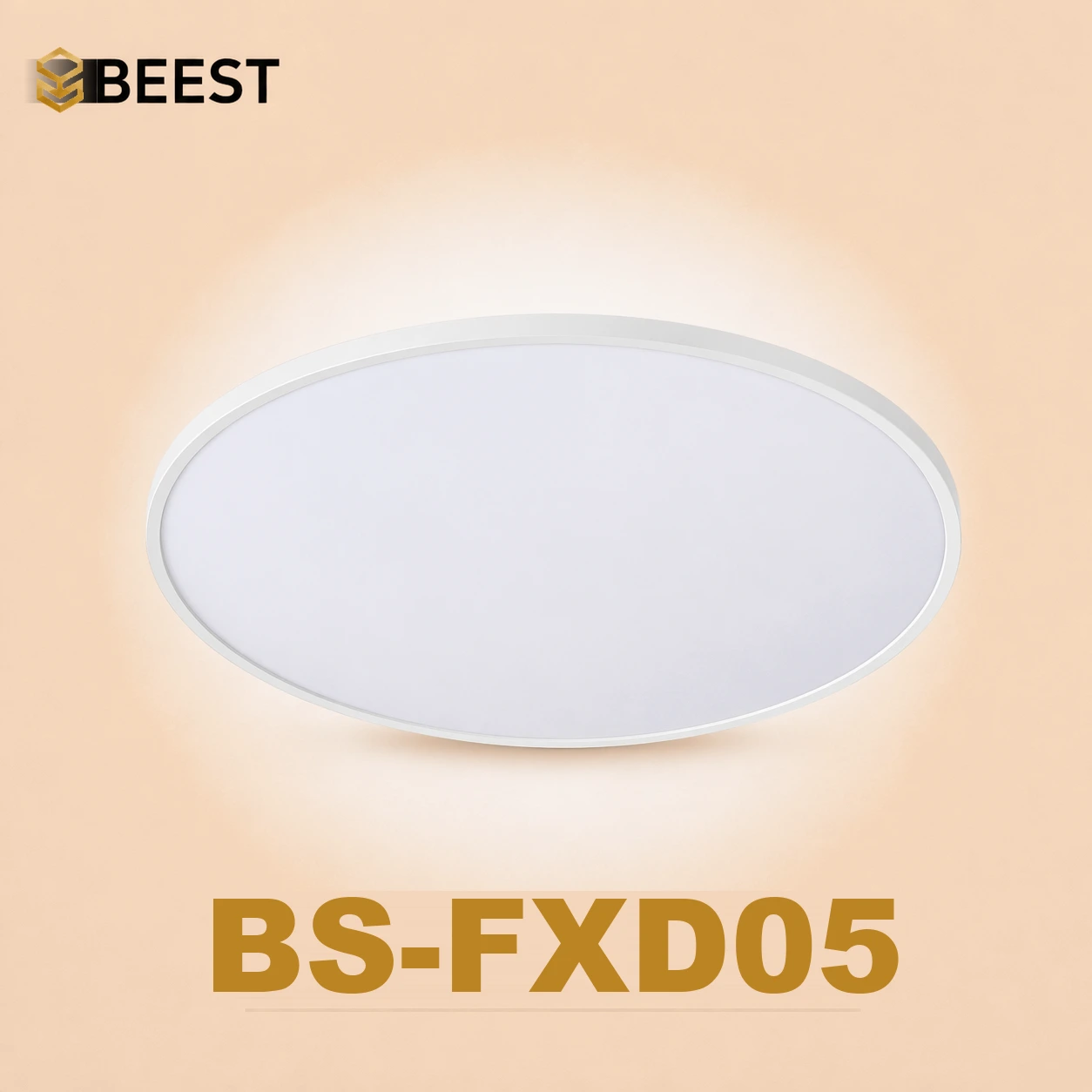 BS-FXD05