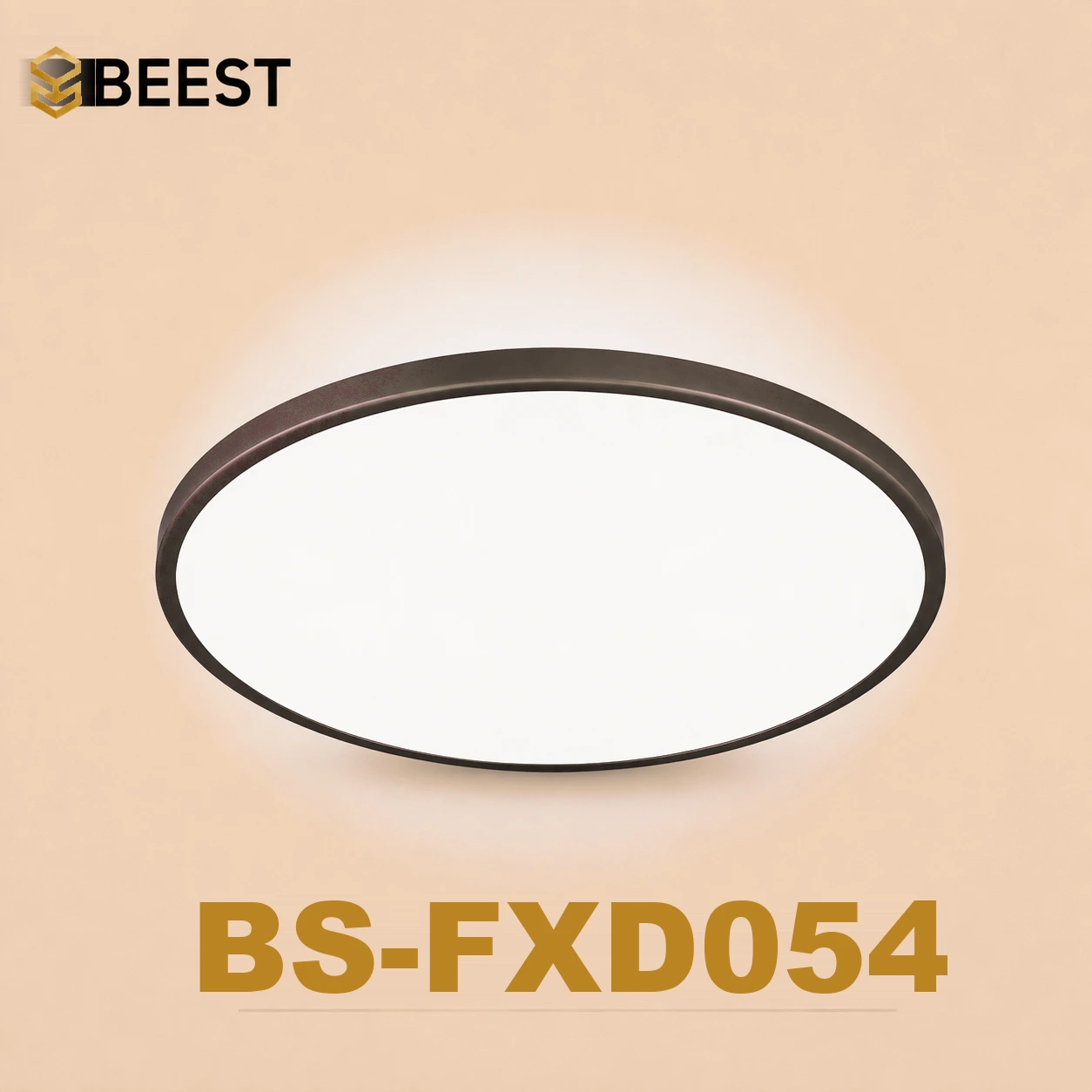 BS-FXD054