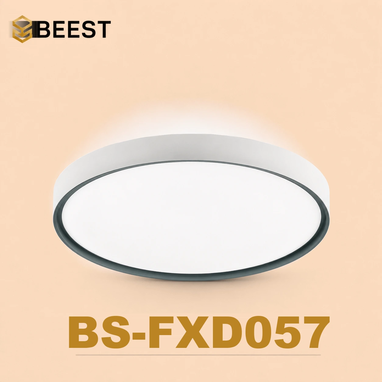 BS-FXD057