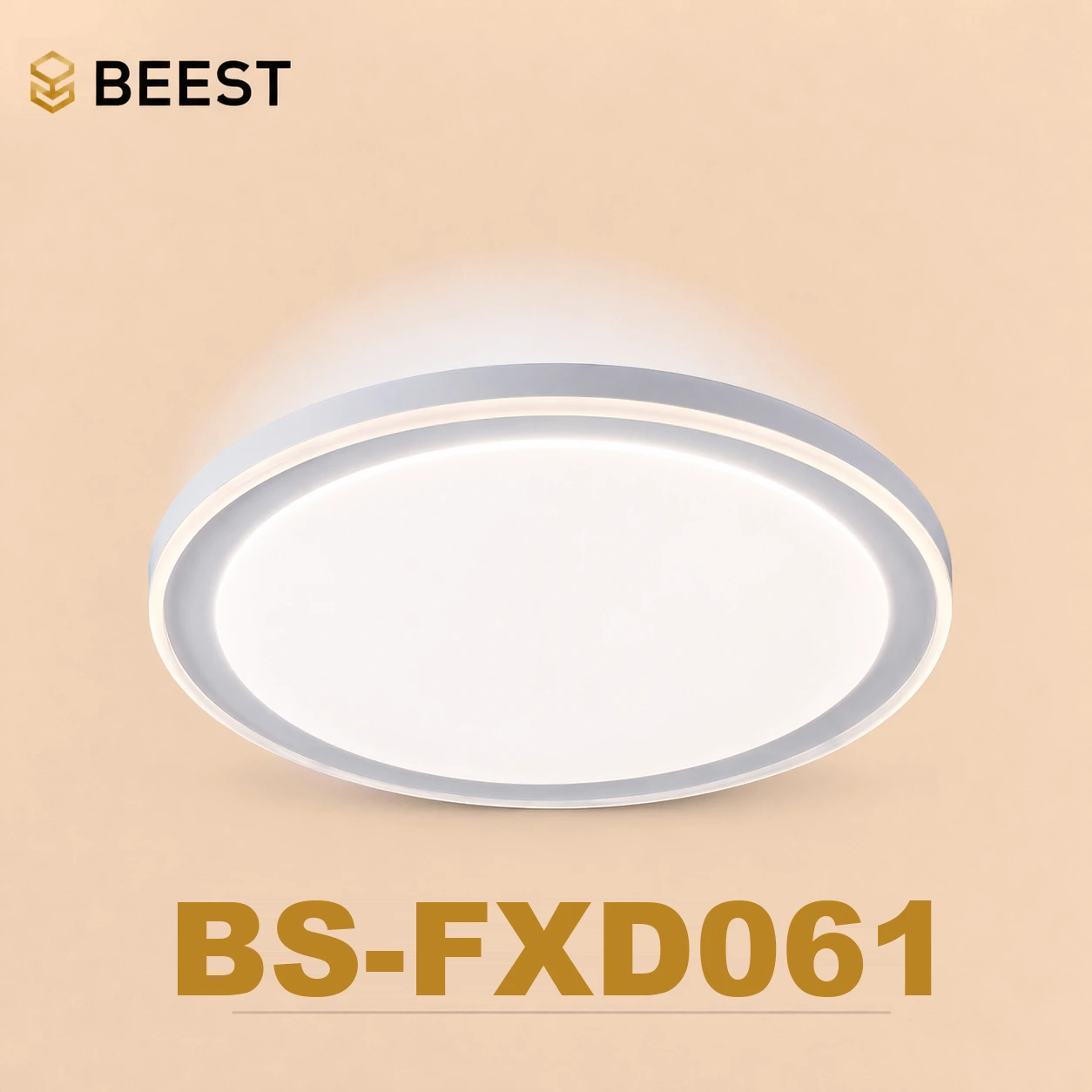 BS-FXD061