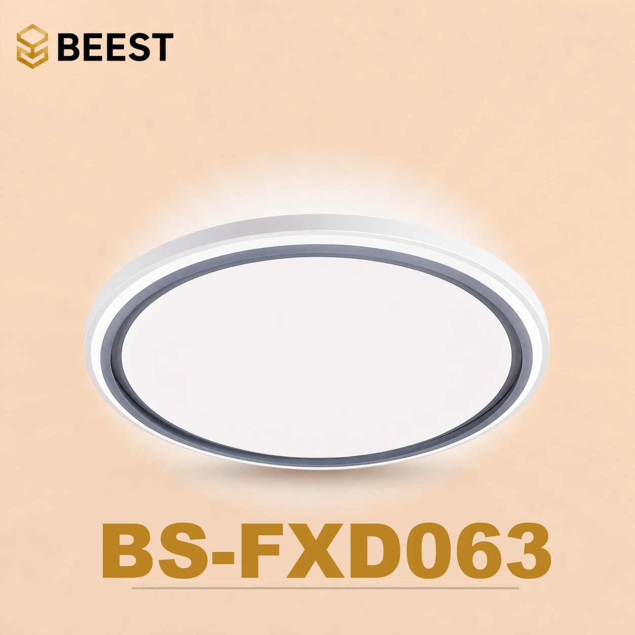 BS-FXD063