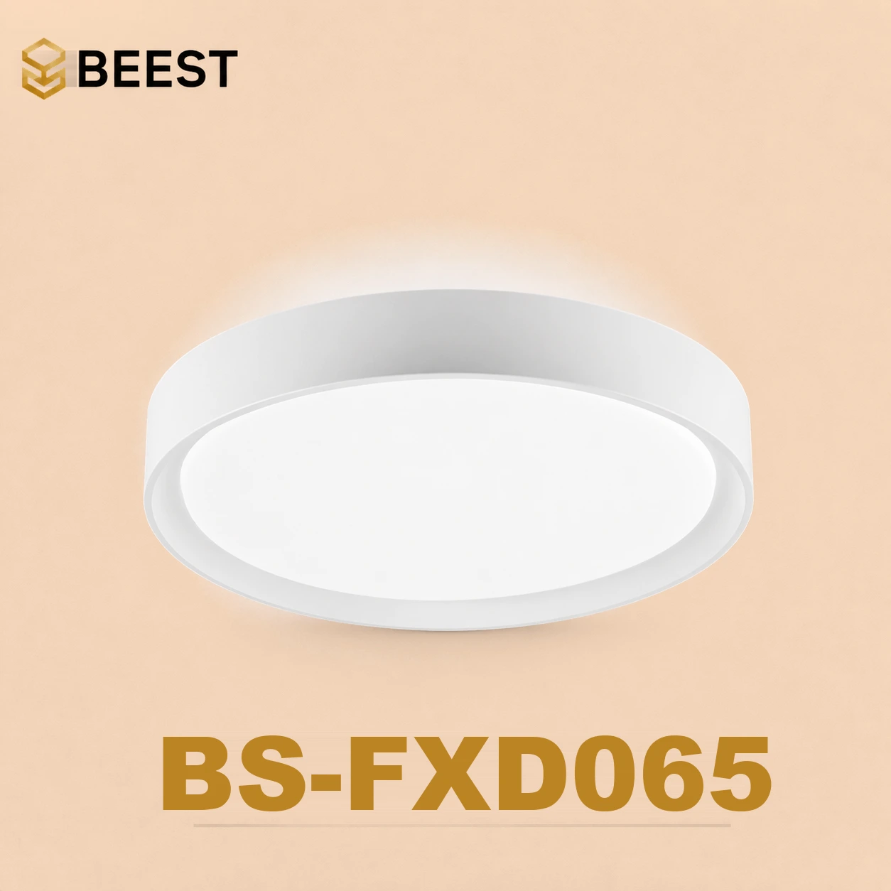 BS-FXD065