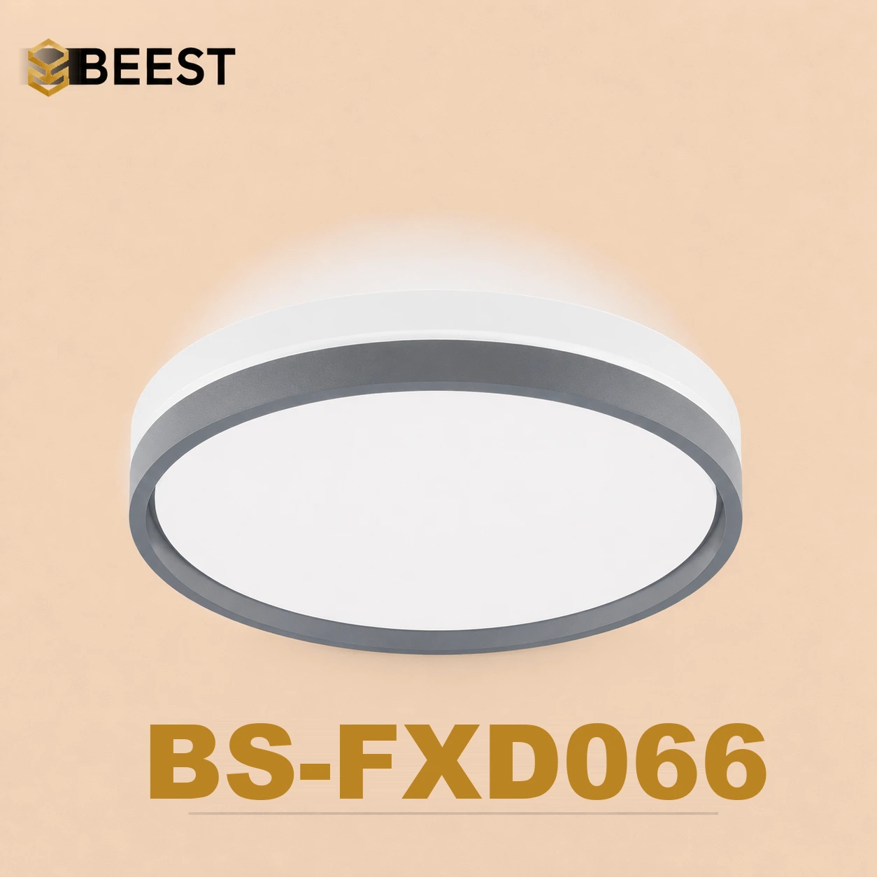 BS-FXD066