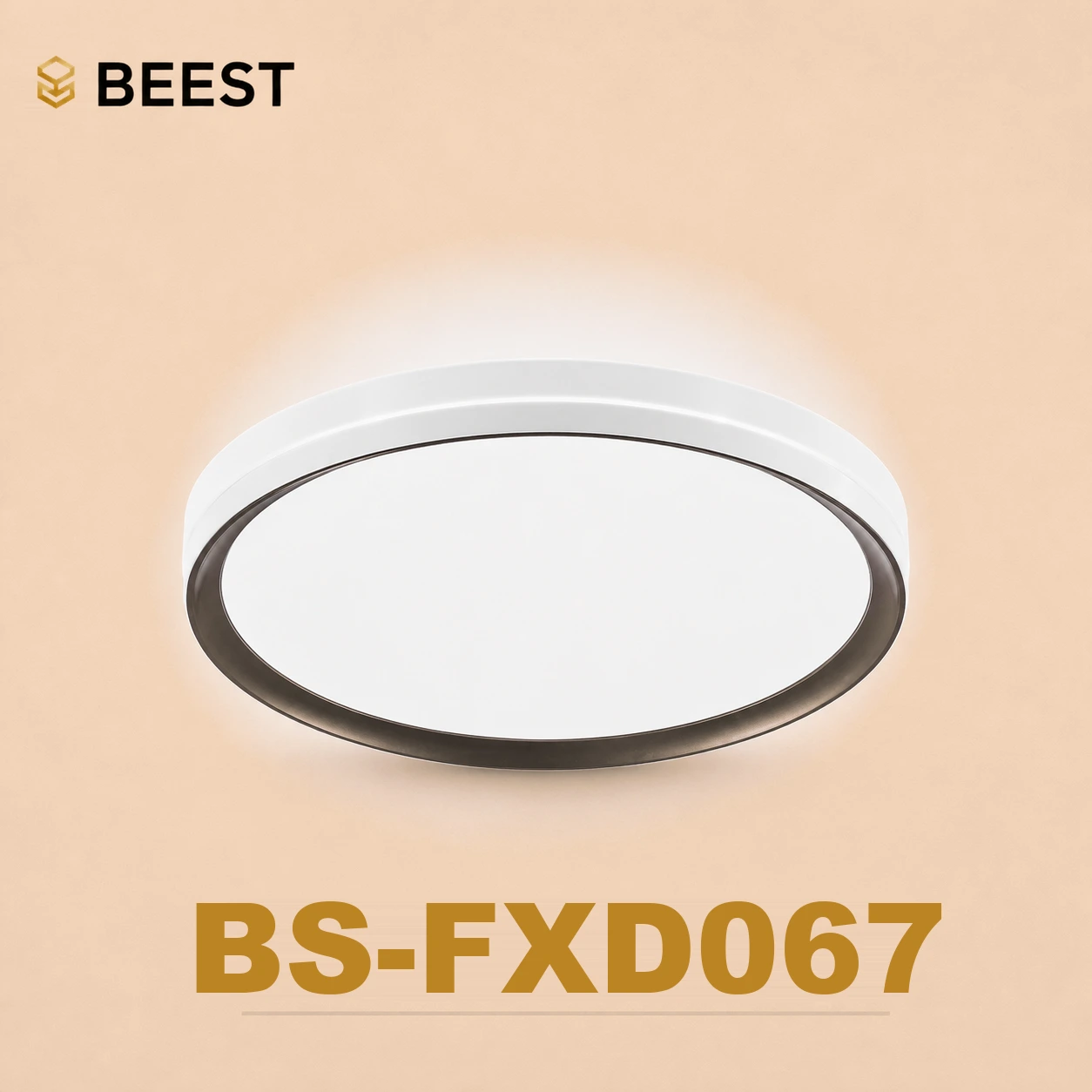 BS-FXD067