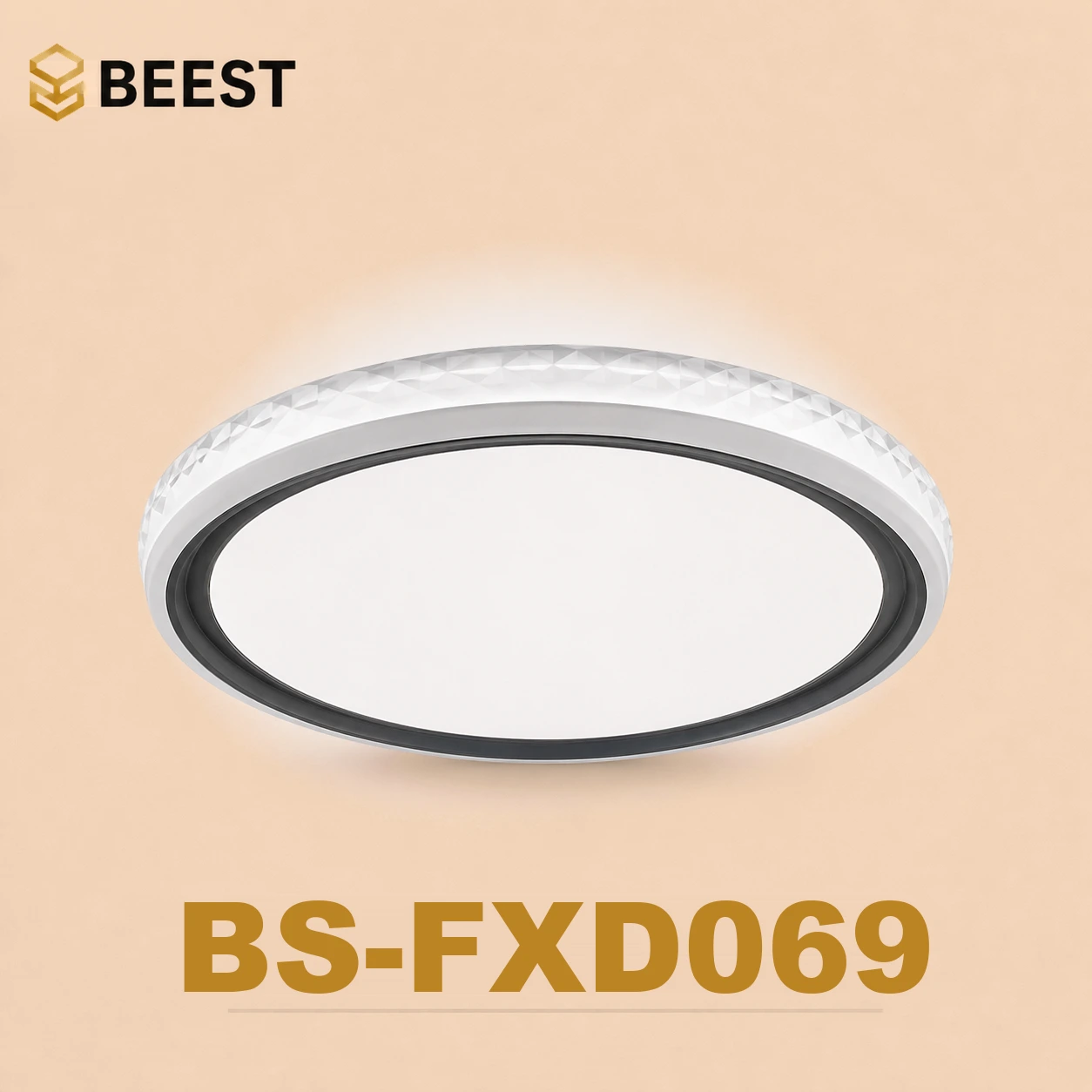 BS-FXD069