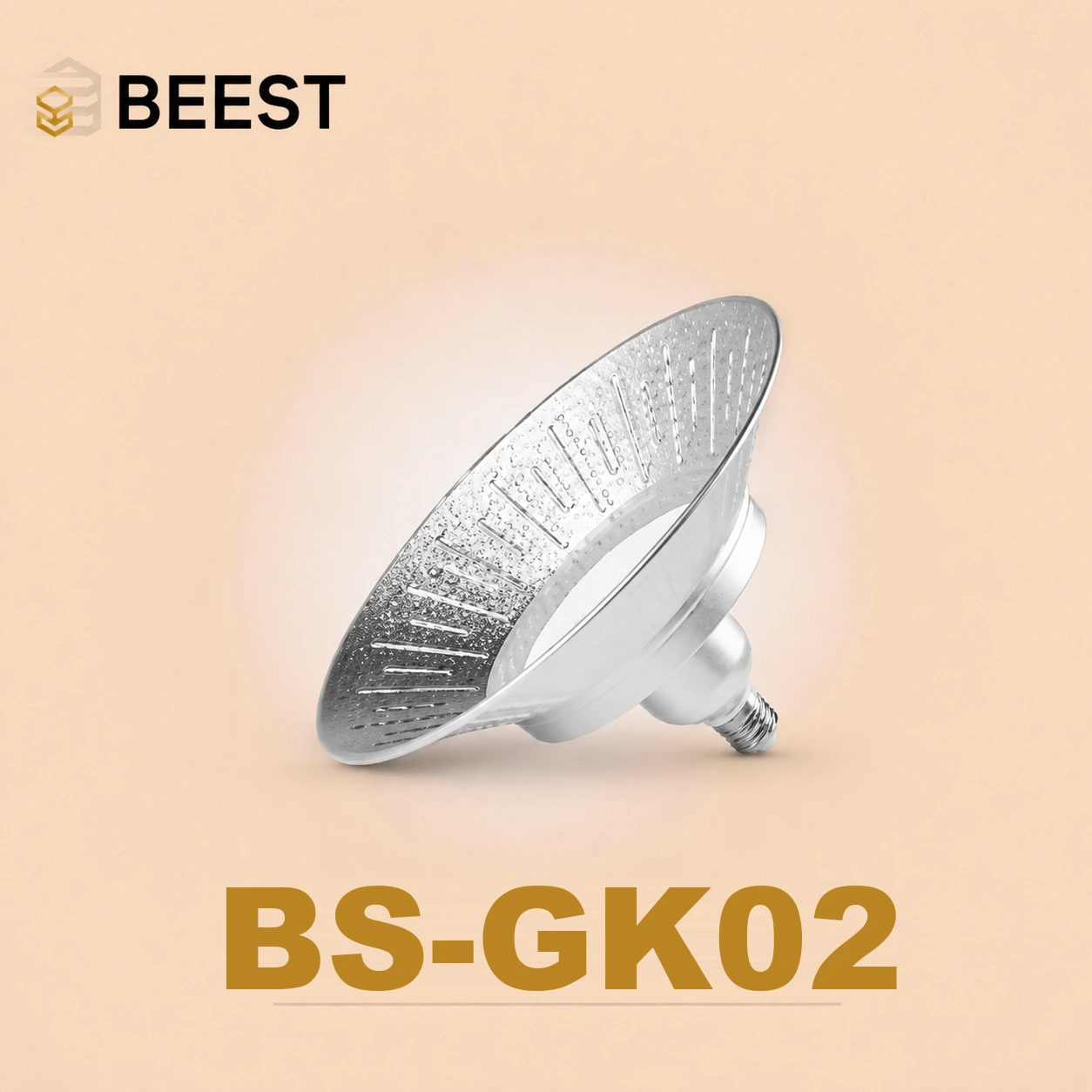 BS-GK02-100W