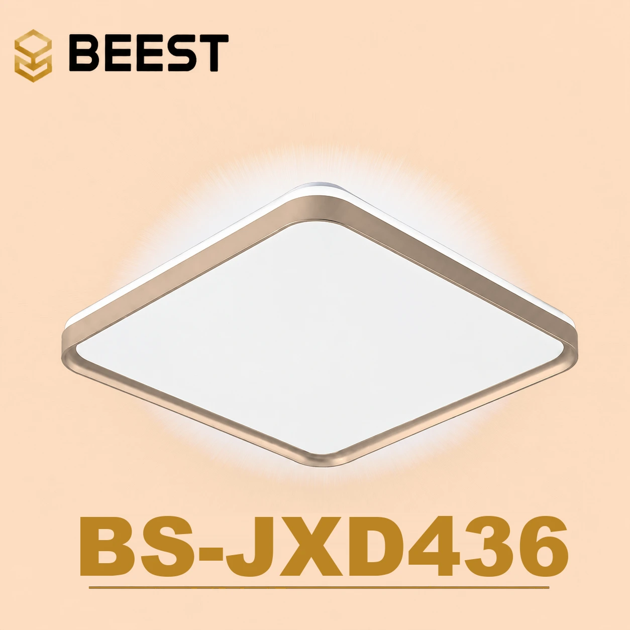 BS-JXD436