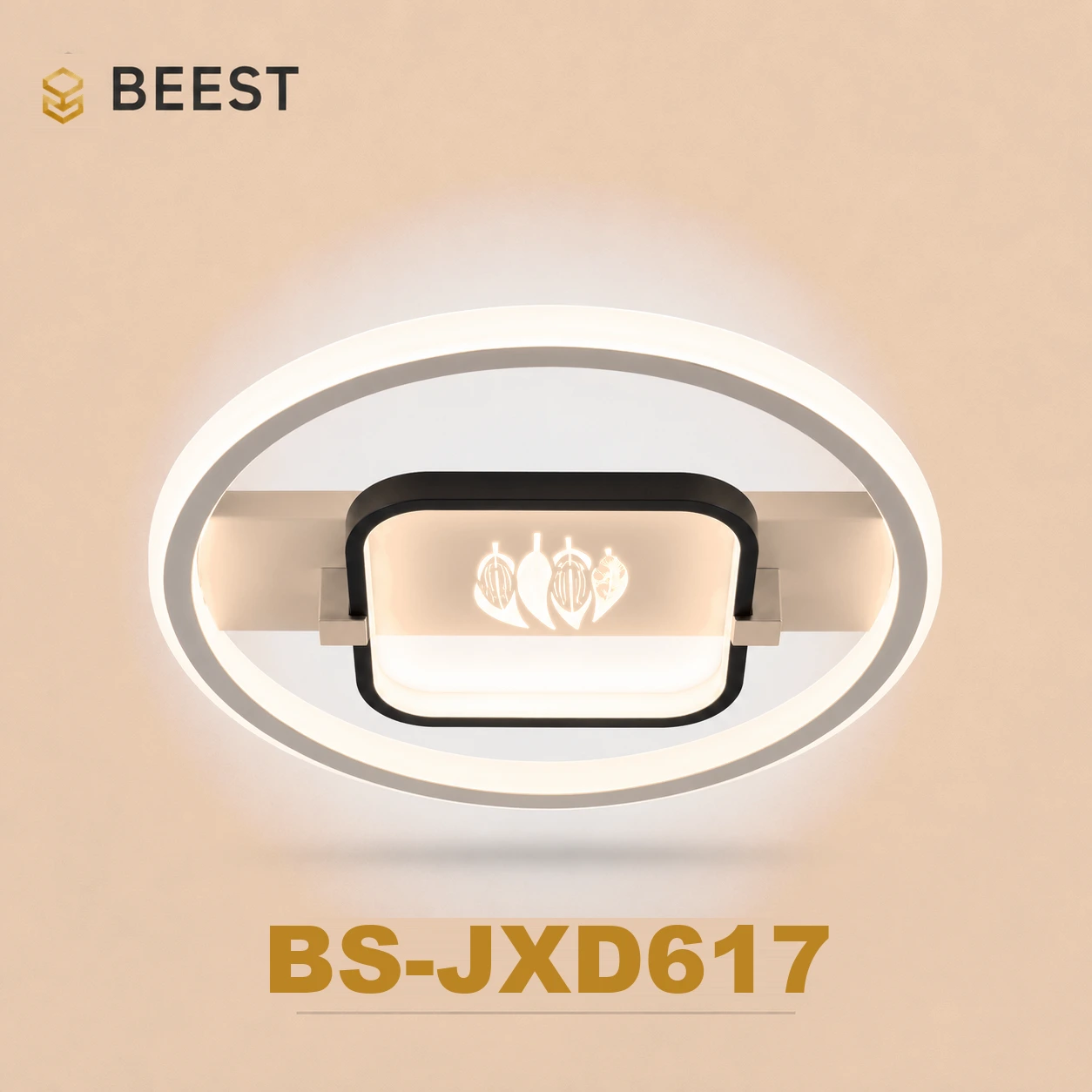 BS-JXD617