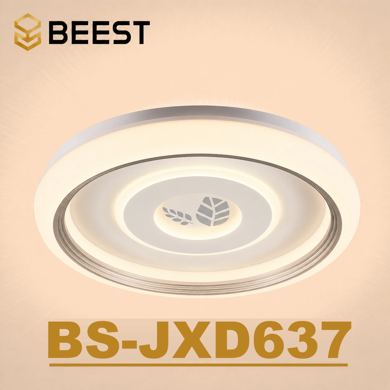 BS-JXD637