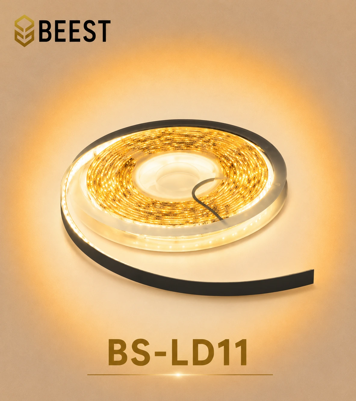 BS-LD11-24W-240