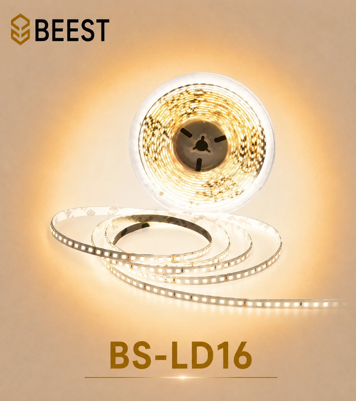 BS-LD16-12W-120