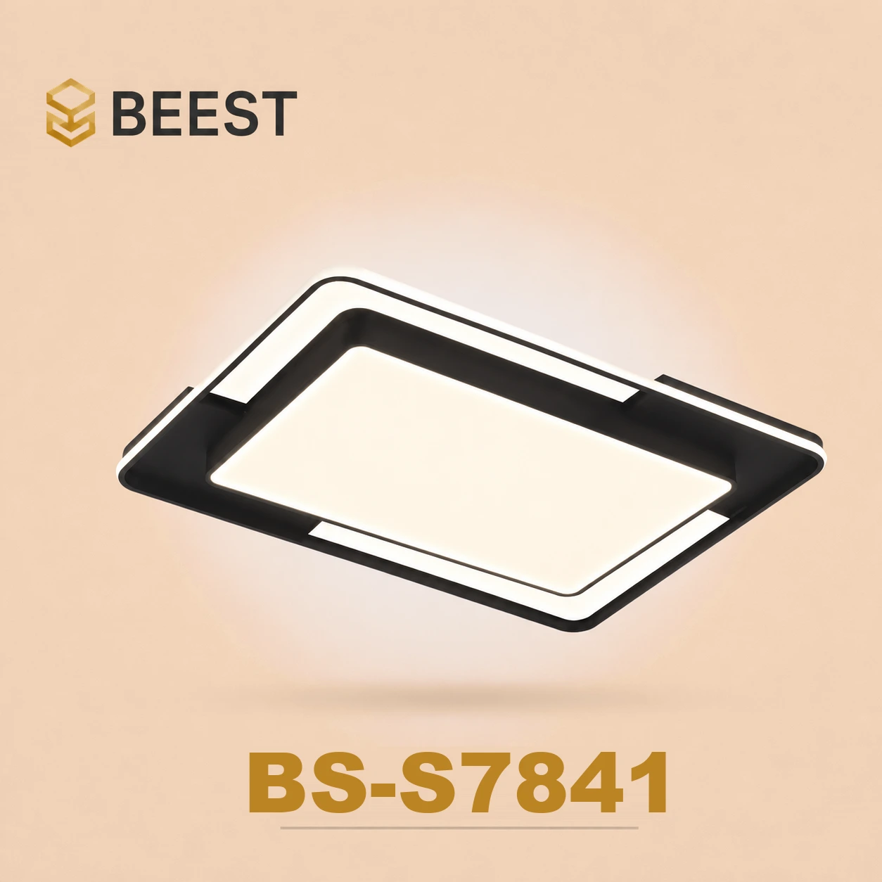 BS-S7841
