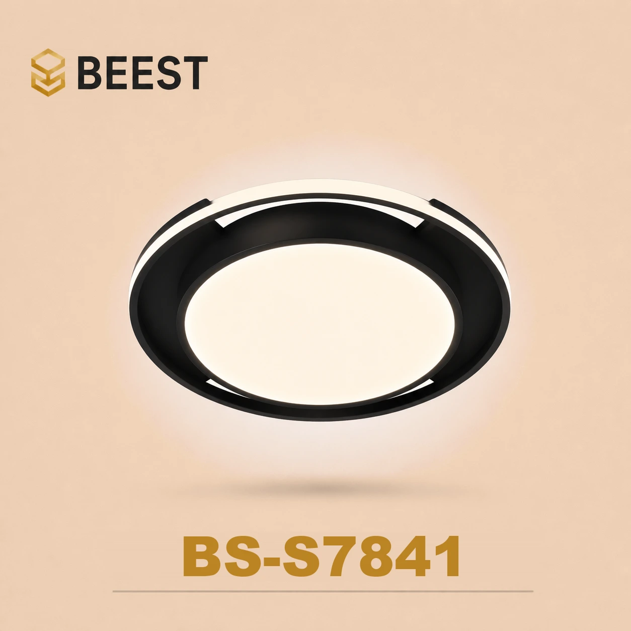 BS-S7841