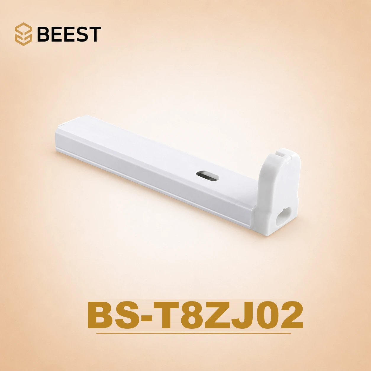 BS-T8ZJ02