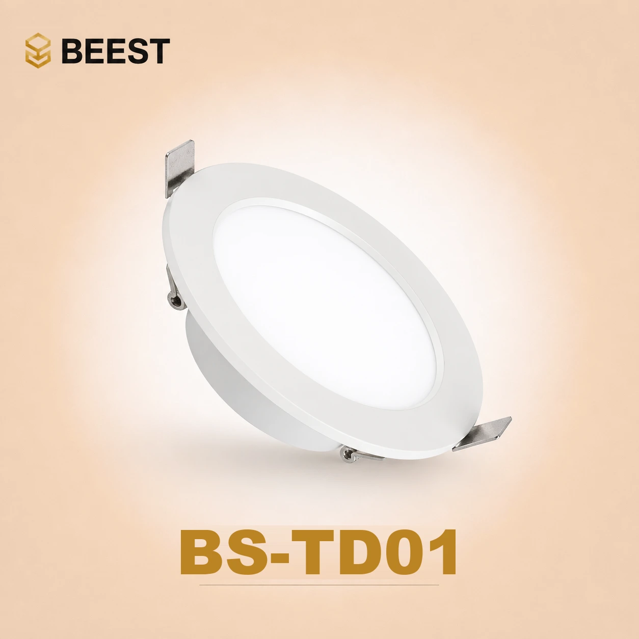 BS-TD01