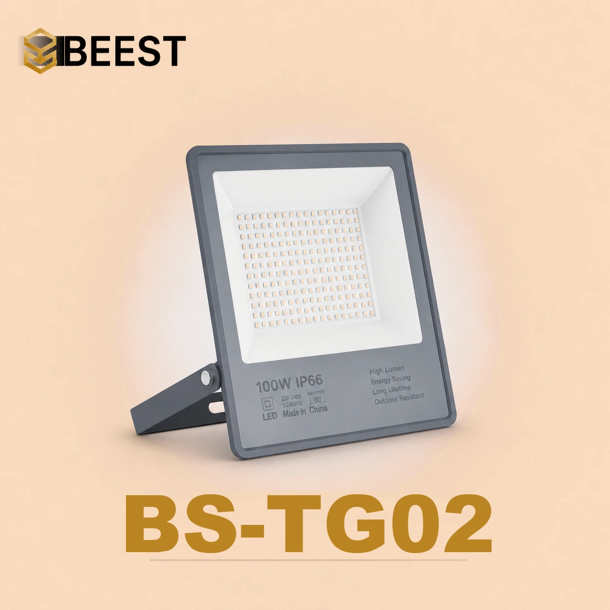 BS-TG02-100W