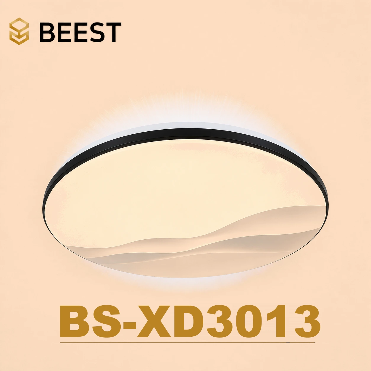 BS-XD3013