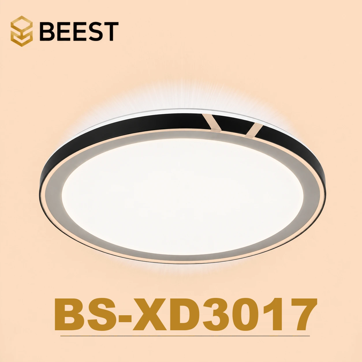 BS-XD3017