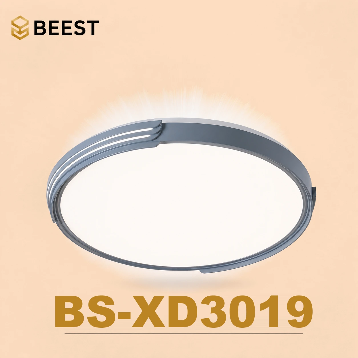BS-XD3019