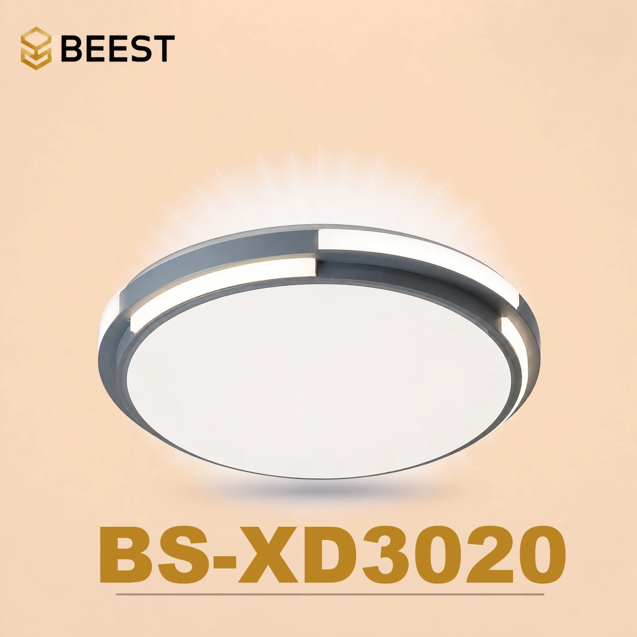 BS-XD3020