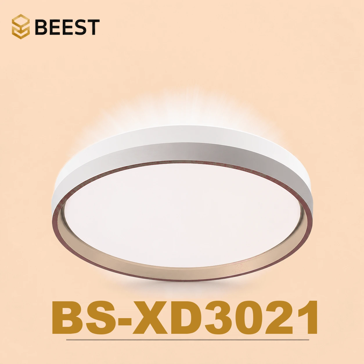BS-XD3021