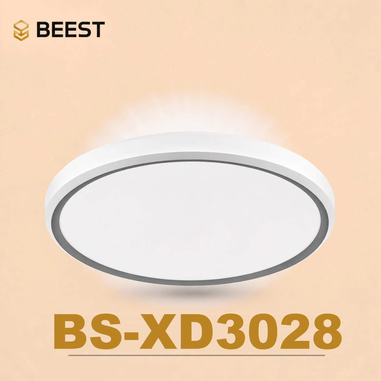 BS-XD3028