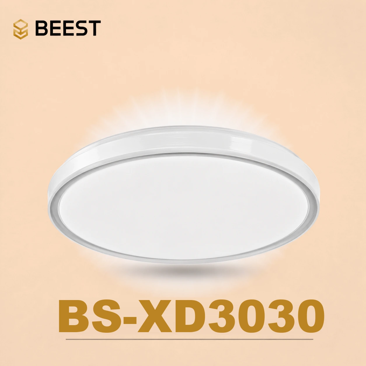 BS-XD3030