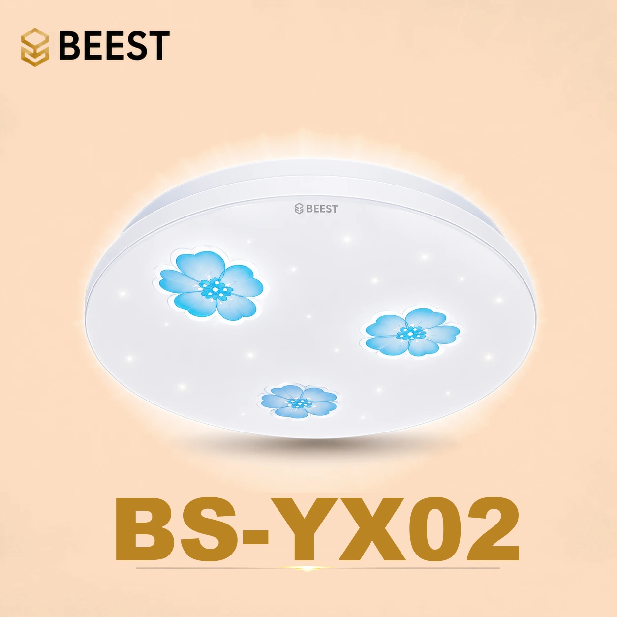 BS-YX02