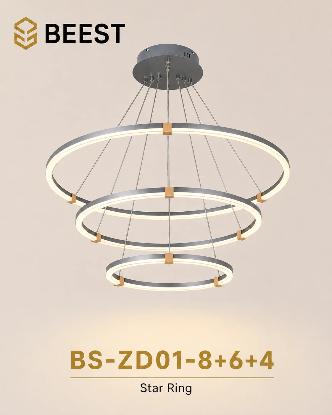 BS-ZD01-8+6+4